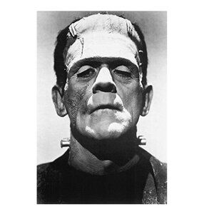Frankenstein Movie Boris Karloff Close-Up Poster 165